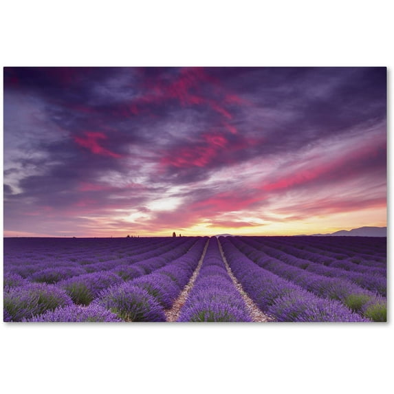Trademark Fine Art 'Pink and Purple' Canvas Art by Michael Blanchette Photography