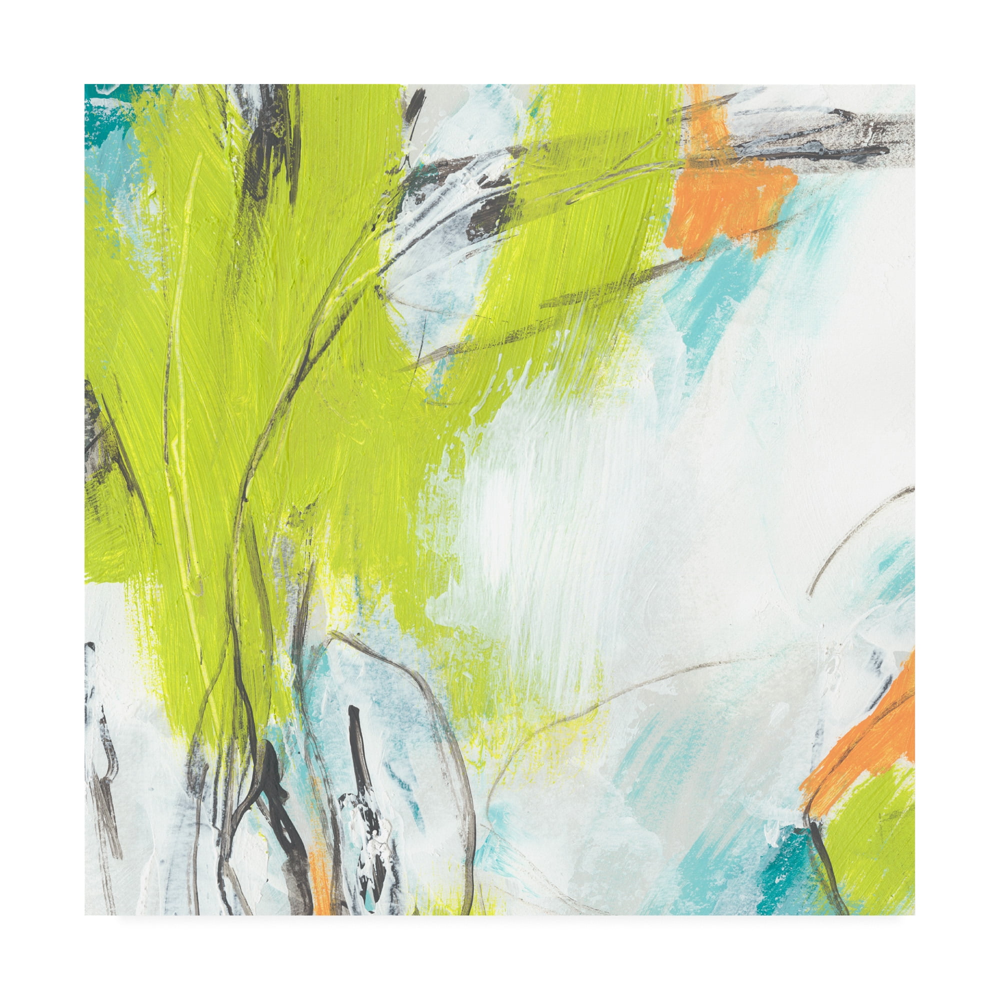 Trademark Fine Art 'Piquant I' Canvas Art by June Erica Vess