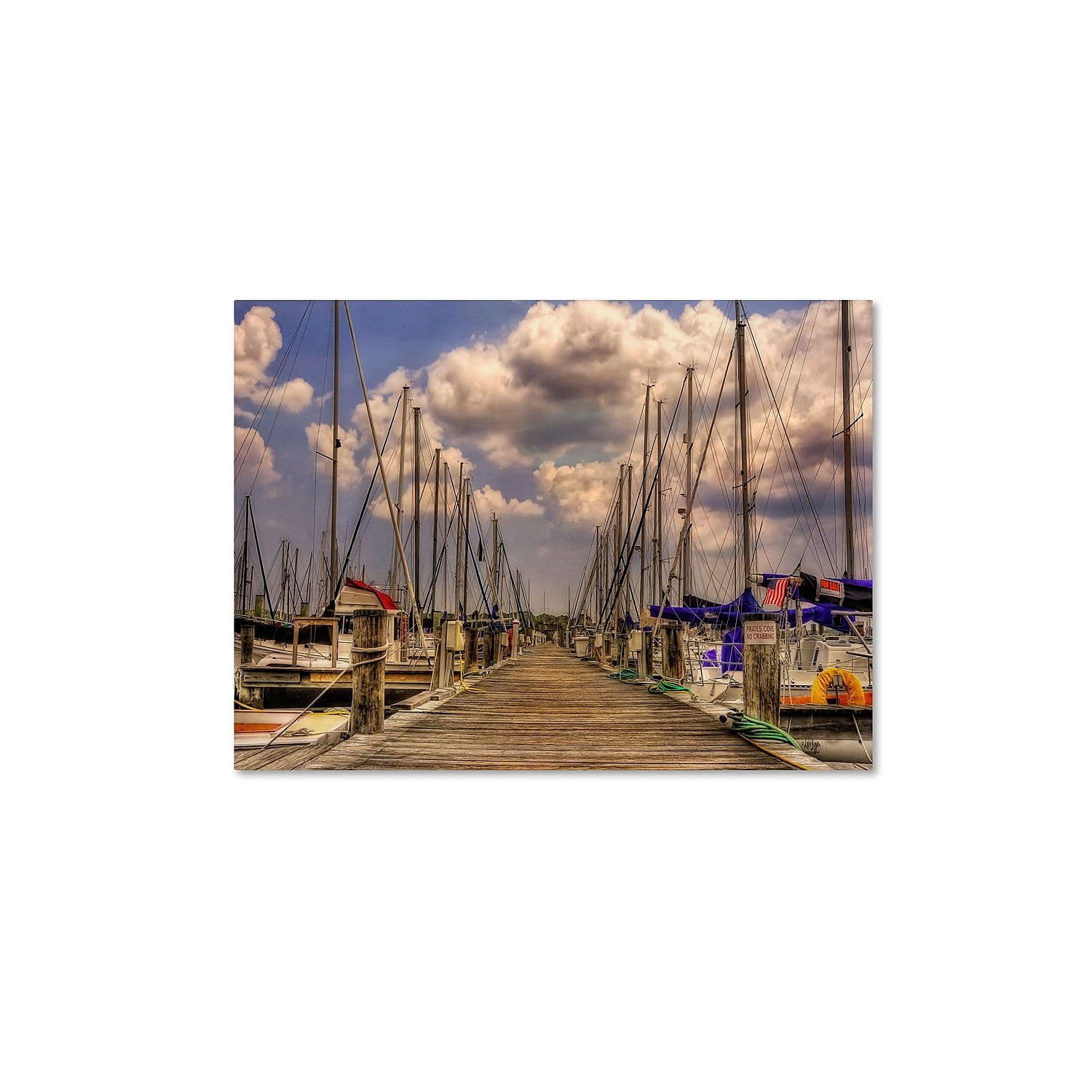 Trademark Fine Art "Pirates Cove" Canvas Art by Lois Bryan