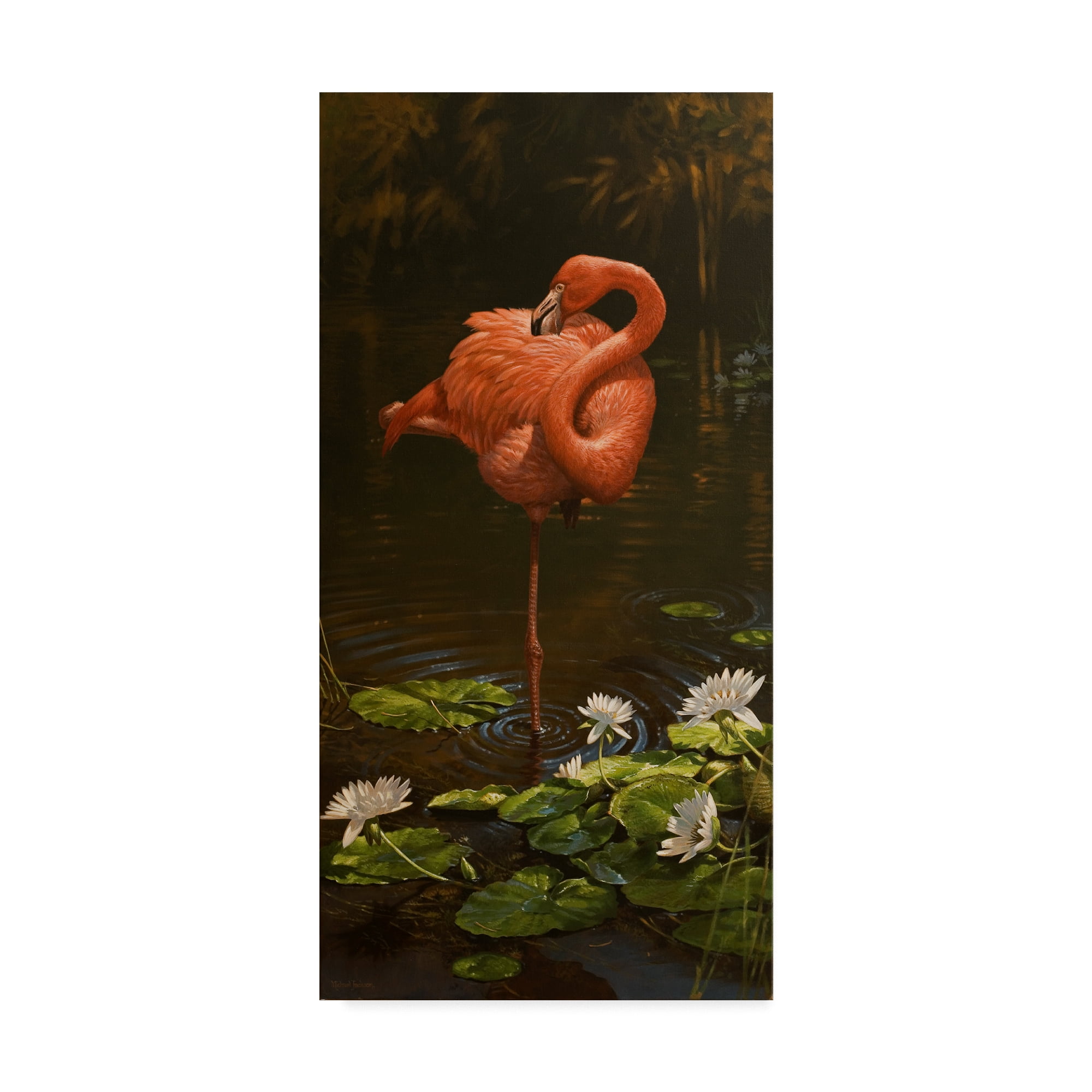 Trademark Fine Art 'Pirhouette' Canvas Art by Michael Jackson