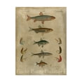 thumbnail image 1 of Trademark Fine Art 'Pisces Composition I' Canvas Art by Vision Studio, 1 of 4