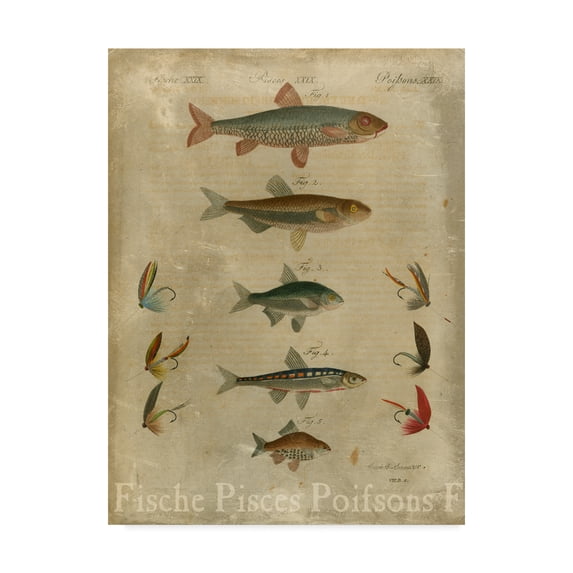 Trademark Fine Art 'Pisces Composition I' Canvas Art by Vision Studio