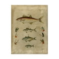 thumbnail image 1 of Trademark Fine Art 'Pisces Composition II' Canvas Art by Vision Studio, 1 of 4
