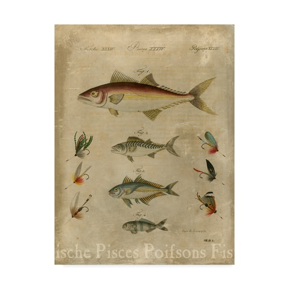 Trademark Fine Art 'Pisces Composition II' Canvas Art by Vision Studio