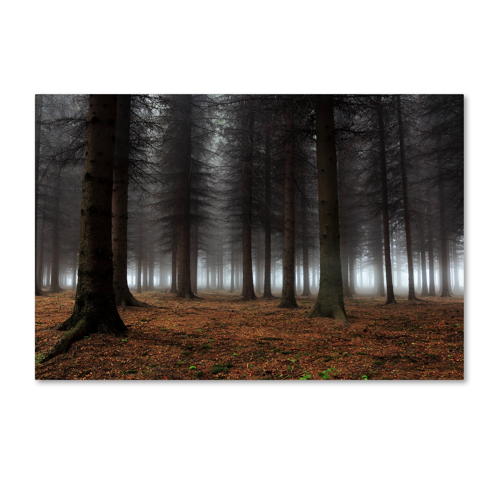 Trademark Fine Art 'Place Of Silence' Canvas Art by Dragisa Petrovic