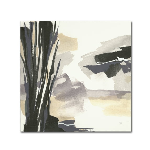 Trademark Fine Art 'Placid II' Canvas Art by Chris Paschke