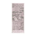 thumbnail image 1 of Trademark Fine Art 'Plan de Paris Panel on Wood v2 Blush' Canvas Art by Wild Apple Portfolio, 1 of 3