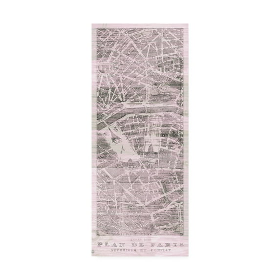 Trademark Fine Art 'Plan de Paris Panel on Wood v2 Blush' Canvas Art by Wild Apple Portfolio