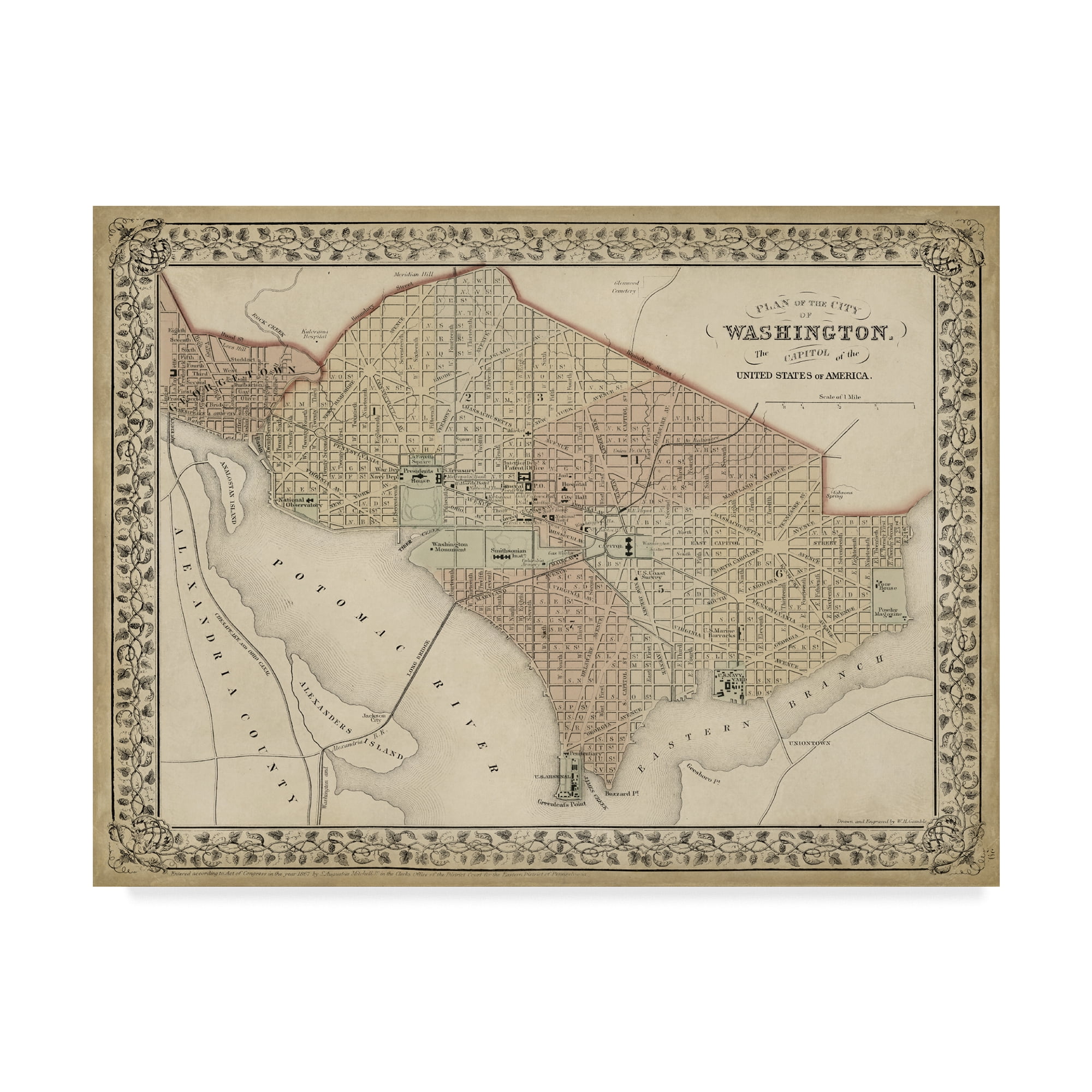 Trademark Fine Art 'Plan of Washington DC' Canvas Art by Mitchell