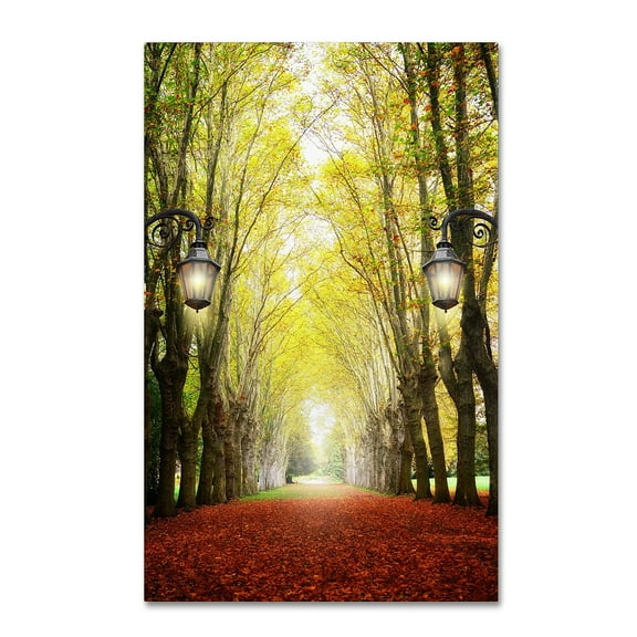 Trademark Fine Art "Plane Tree Alley" Canvas Art by Philippe Sainte-Laudy