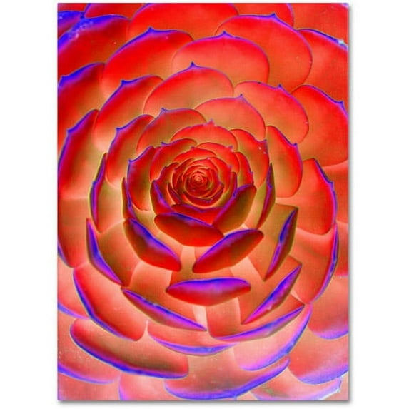 Trademark Fine Art "Plant Art" Canvas Wall Art by Patty Tuggle