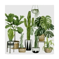 Trademark Fine Art 'Plant Haven I' Canvas Art by Grace Popp