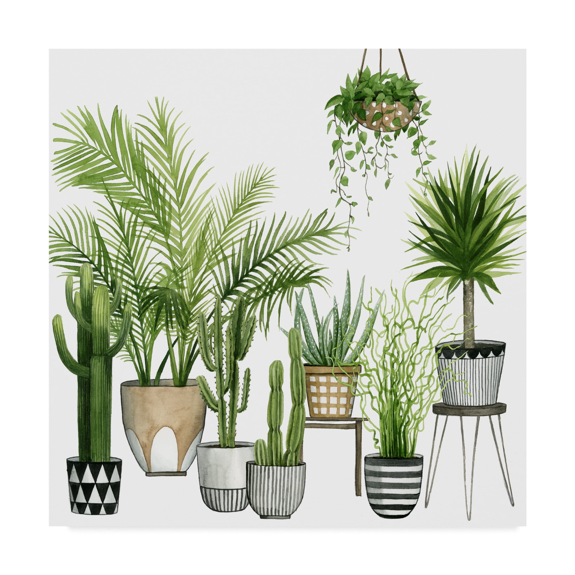 Trademark Fine Art 'Plant Haven II' Canvas Art by Grace Popp