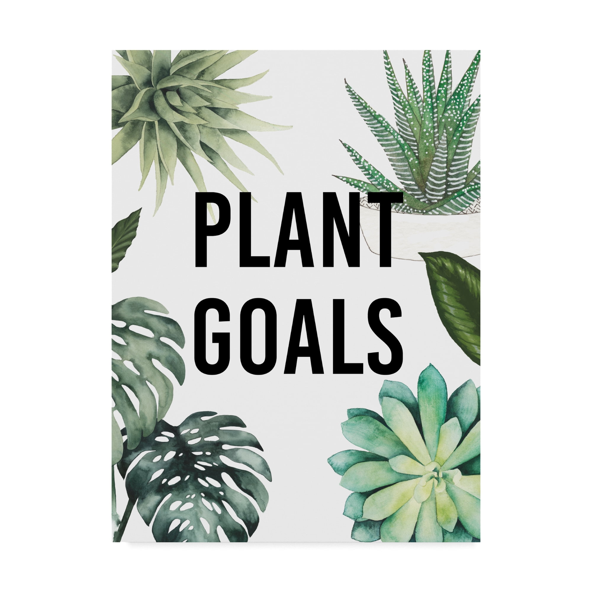 Trademark Fine Art 'Plant Love II' Canvas Art by Studio W
