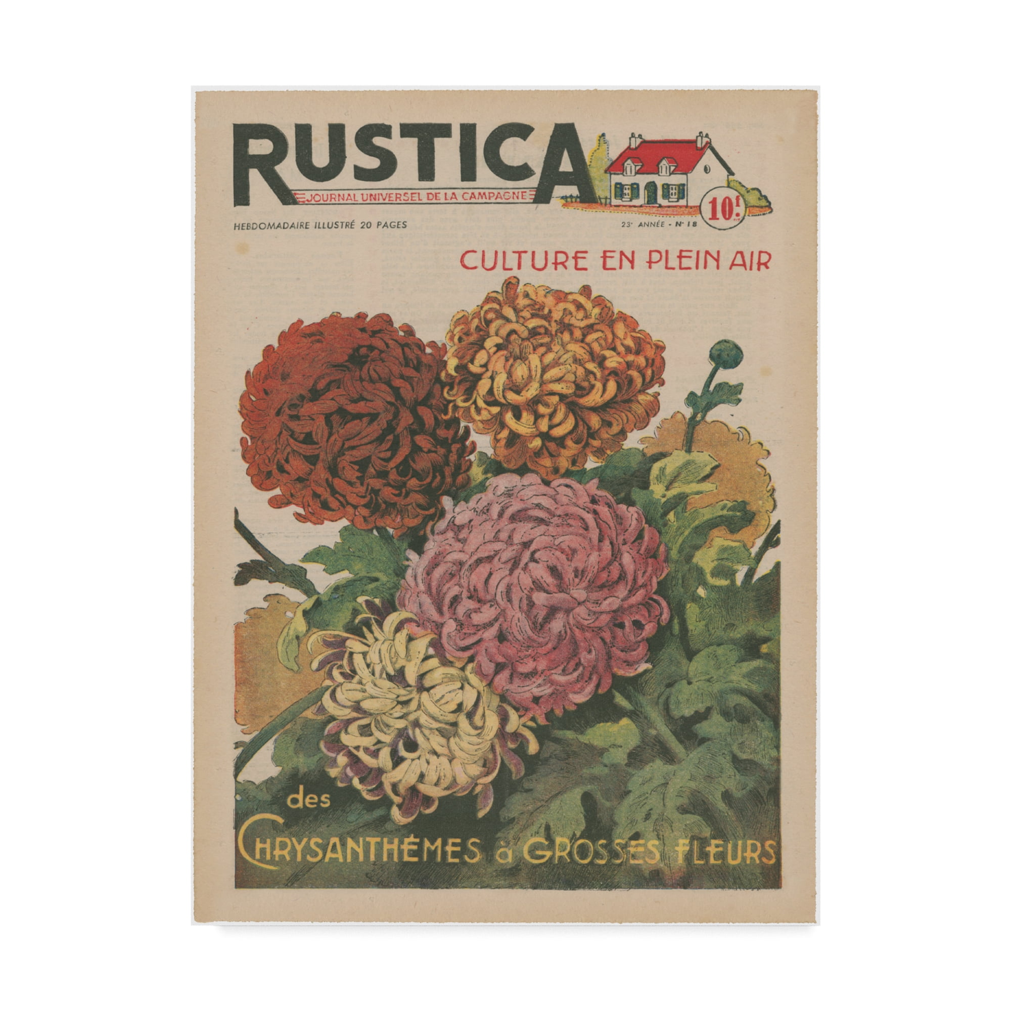 Trademark Fine Art 'Plantez des Chrysanthemums' Canvas Art by Unknown