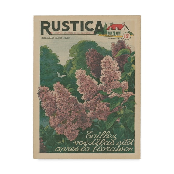 Trademark Fine Art 'Plantez des Lilacs' Canvas Art by Unknown