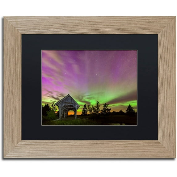 Trademark Fine Art "Play of Colors" Canvas Art by Michael Blanchette Photography Black Matte, Birch Frame