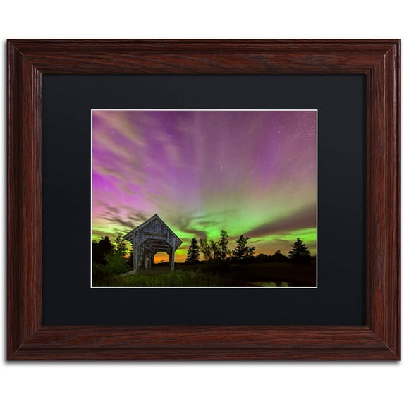 Trademark Fine Art "Play of Colors" Canvas Art by Michael Blanchette Photography Black Matte, Wood Frame