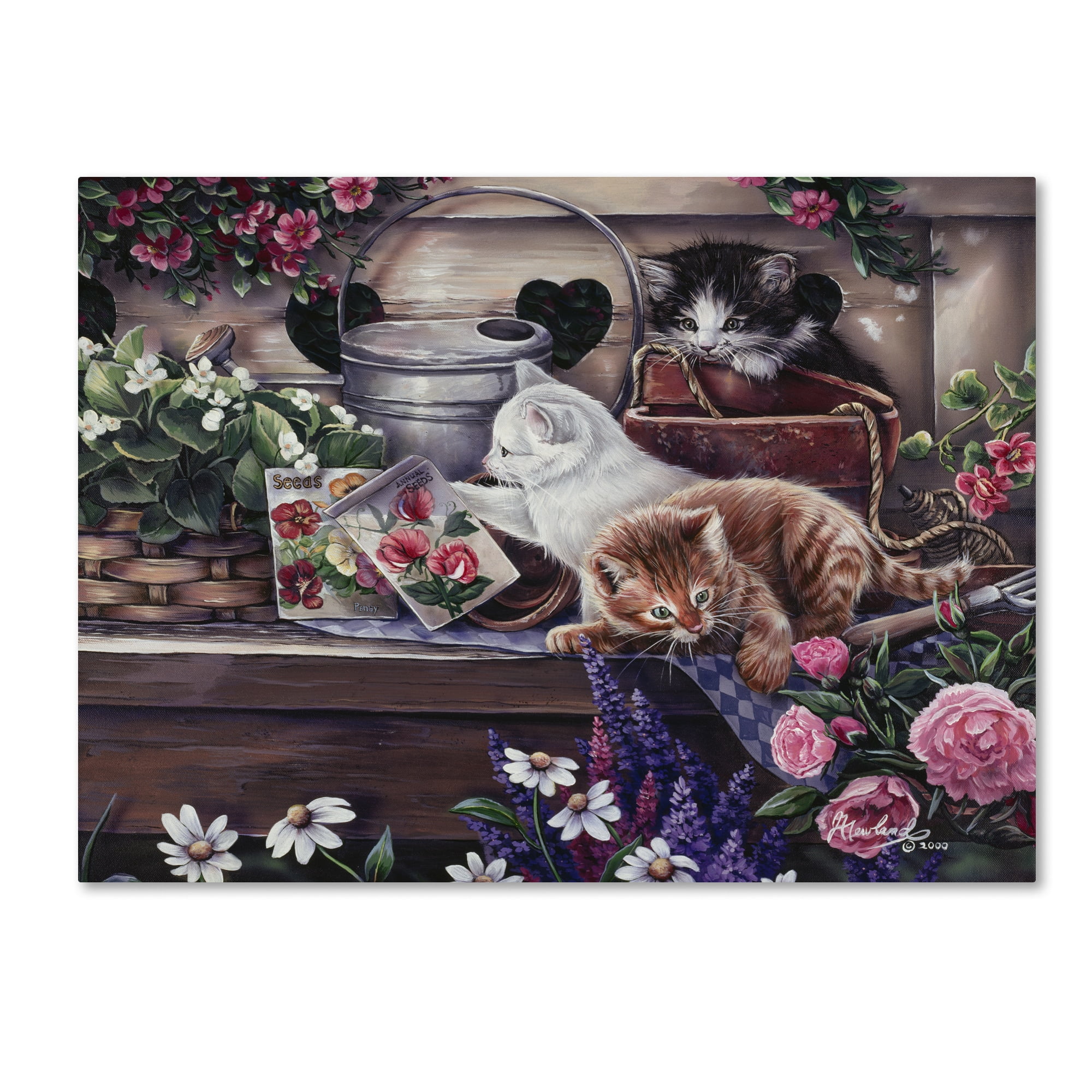 Trademark Fine Art 'Playful Kittens' Canvas Art by Jenny Newland