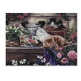 thumbnail image 1 of Trademark Fine Art 'Playful Kittens' Canvas Art by Jenny Newland, 1 of 1