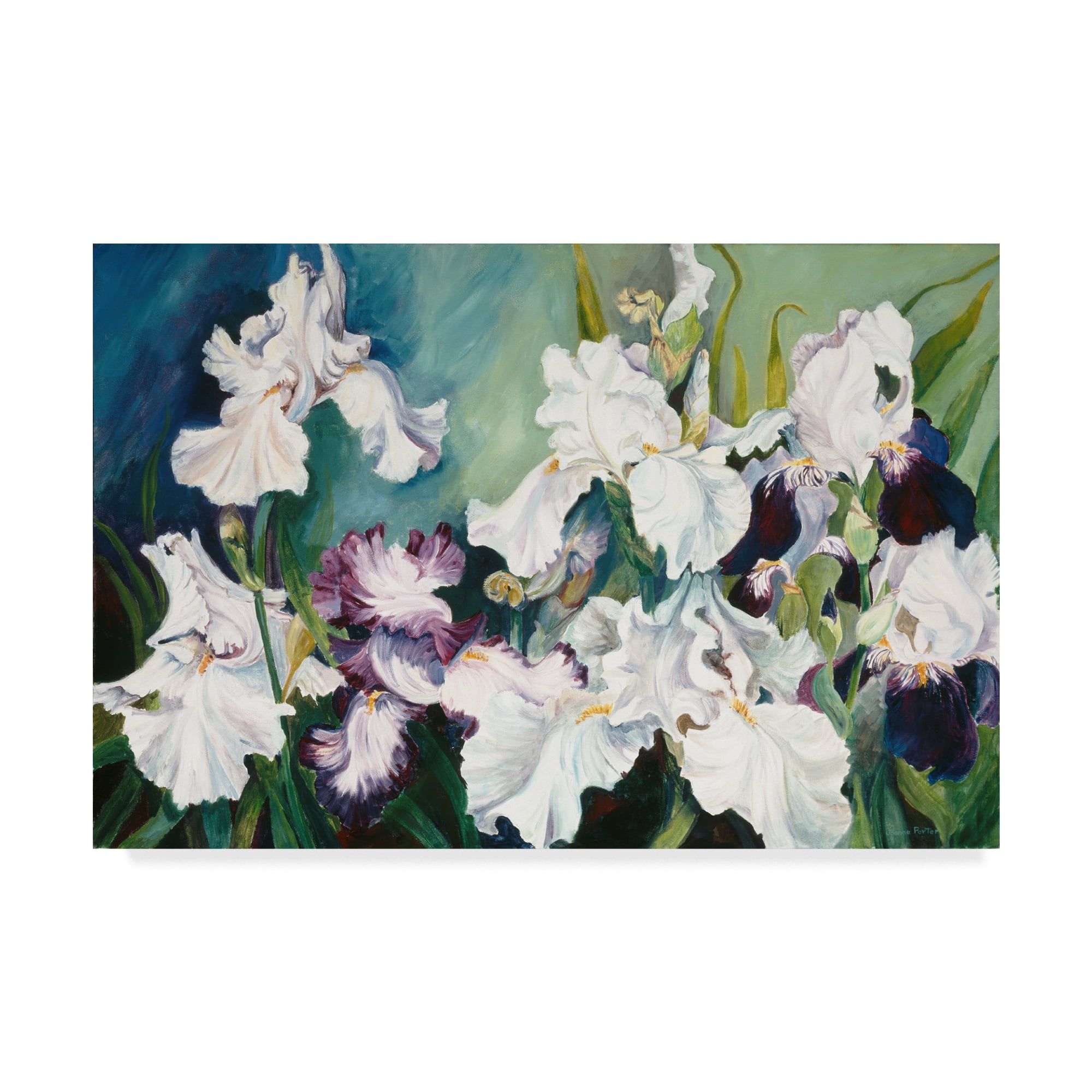 White and Plum Iris Floral Canvas Art in Green Frame