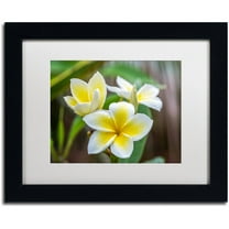 Trademark Fine Art 'Plumeria in the Rain' Canvas Art by Pierre Leclerc, White Matte, Black Frame