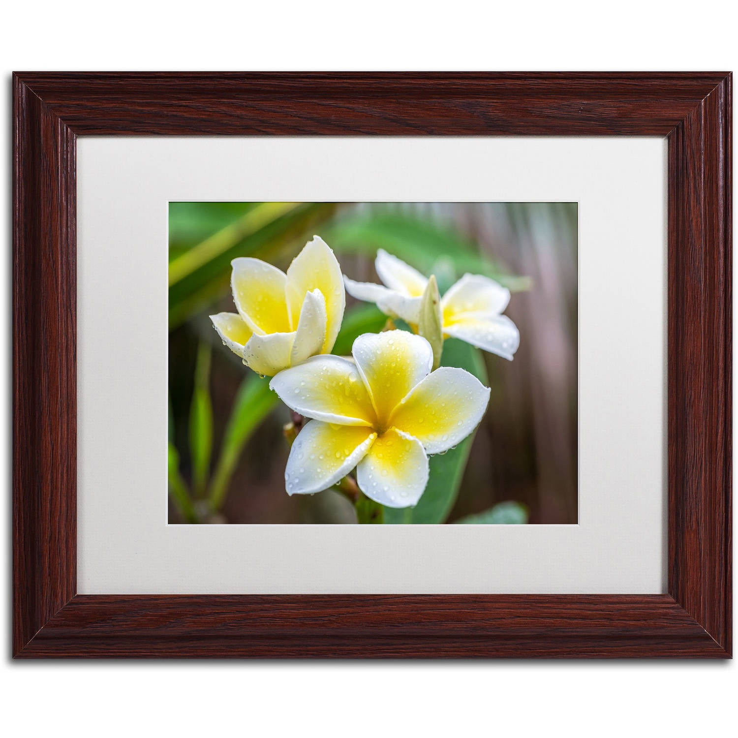 Plumeria in the Rain Acrylic Painting with Brown Frame