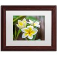 thumbnail image 1 of Trademark Fine Art 'Plumeria in the Rain' Canvas Art by Pierre Leclerc, White Matte, Wood Frame, 1 of 4