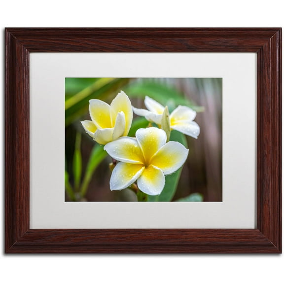 Trademark Fine Art 'Plumeria in the Rain' Canvas Art by Pierre Leclerc, White Matte, Wood Frame