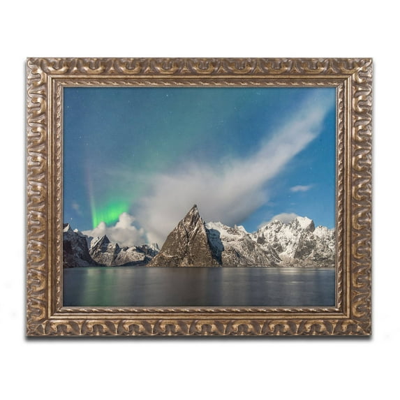 Trademark Fine Art "Plumes" Canvas Art by Michael Blanchette Photography Gold Ornate Frame