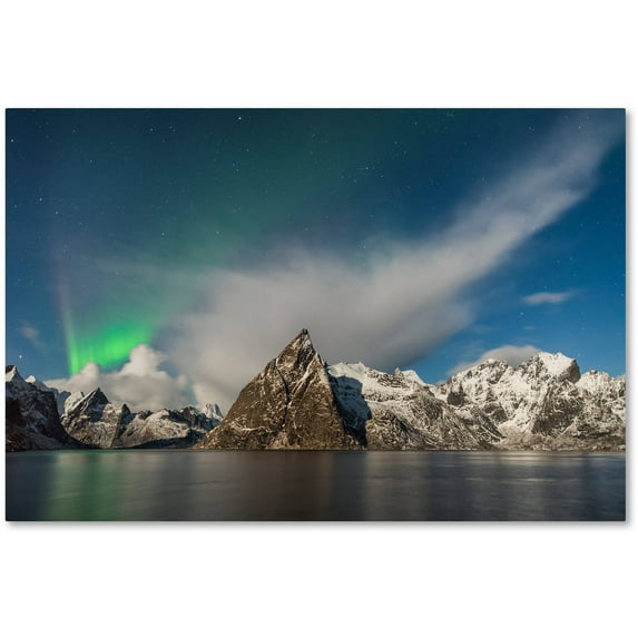 Trademark Fine Art "Plumes" Canvas Art by Michael Blanchette Photography