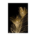 thumbnail image 1 of Trademark Fine Art 'Plumes Dor II' Canvas Art by Jason Johnson, 1 of 4