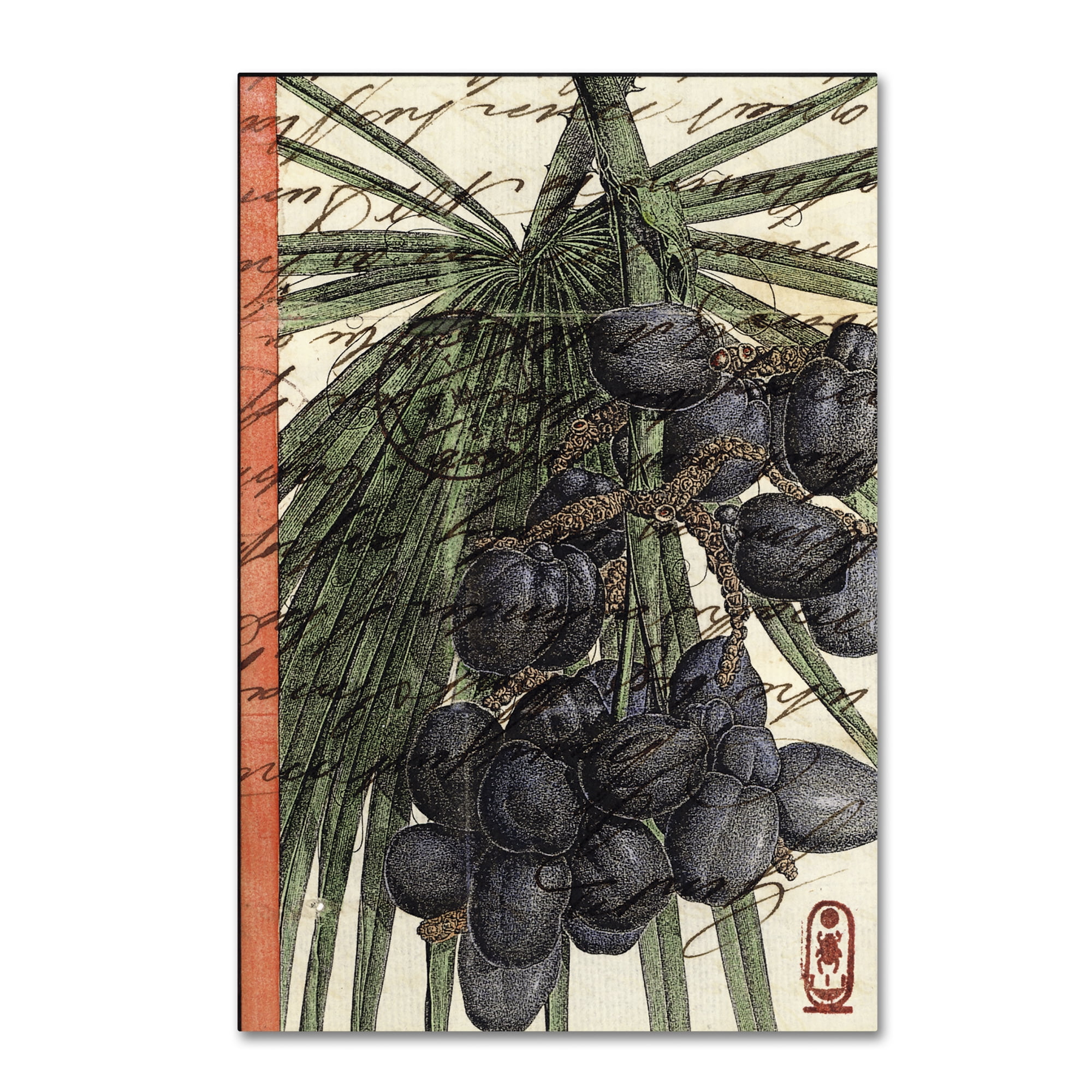 Trademark Fine Art 'Plums' Canvas Art by Nick Bantock