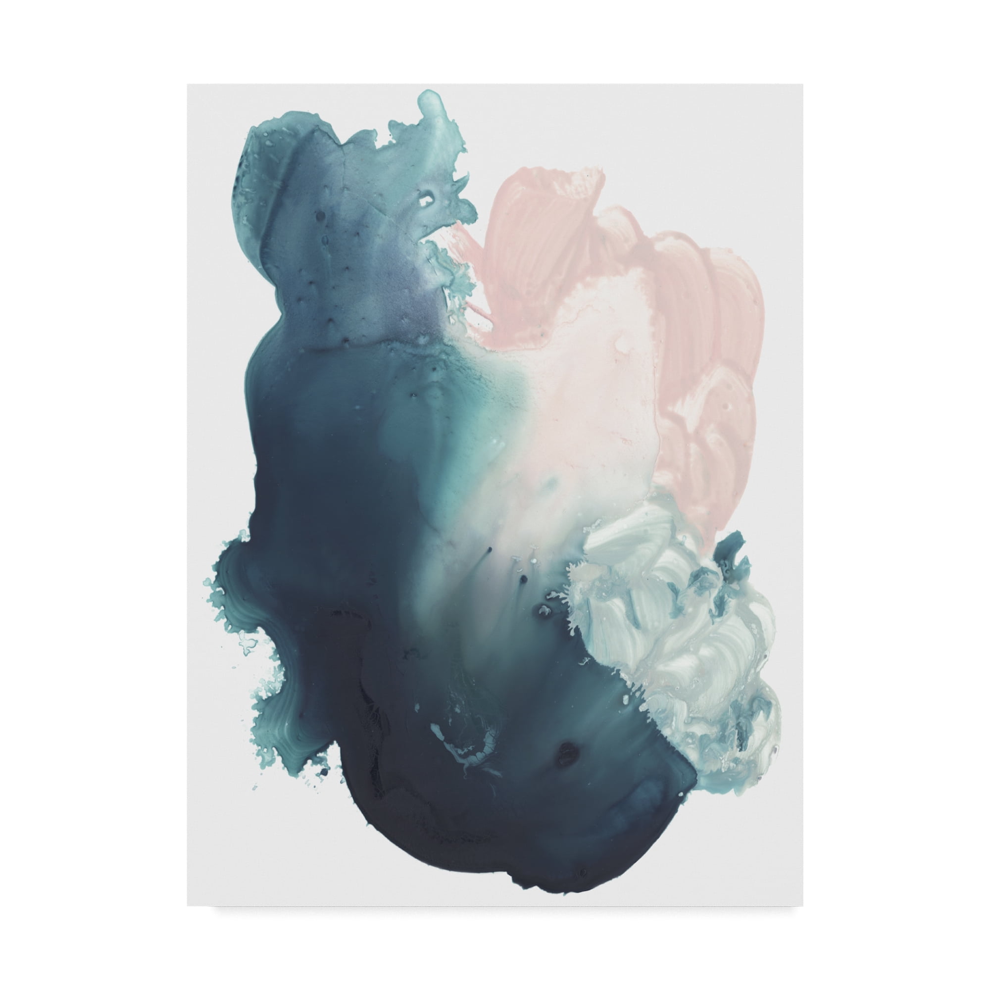 Trademark Fine Art 'Plunge I' Canvas Art by Jennifer Paxton Parker