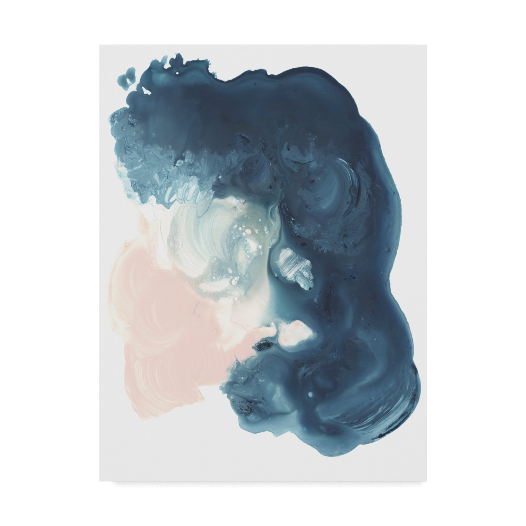 Trademark Fine Art 'Plunge II' Canvas Art by Jennifer Paxton Parker