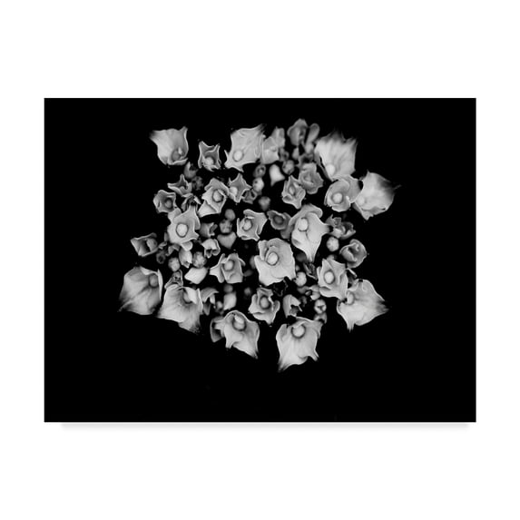 Trademark Fine Art 'Poetry III' Canvas Art by Tang Ling