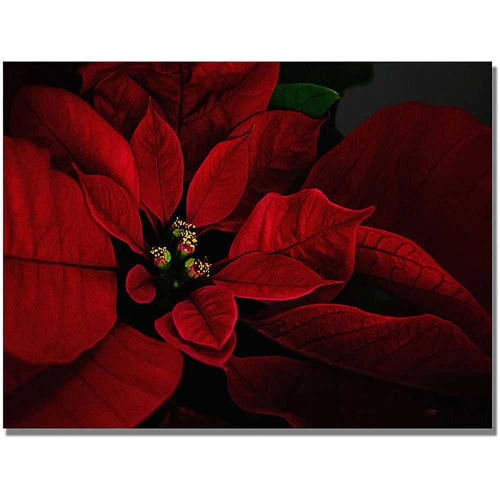 Poinsettia Red Floral Framed Canvas Art 22" x 32"