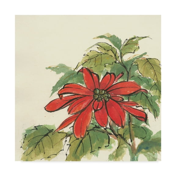 Trademark Fine Art 'Poinsettia I' Canvas Art by Chris Paschke