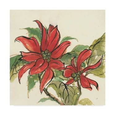 Trademark Fine Art 'Poinsettia II' Canvas Art by Chris Paschke