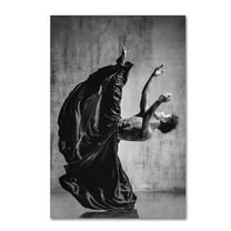 Trademark Fine Art 'Point' Canvas Art by Alexander Yakovlev