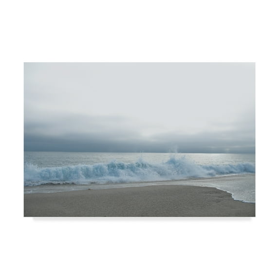 Trademark Fine Art 'Point Zuma Coast' Canvas Art by Lori Hutchison