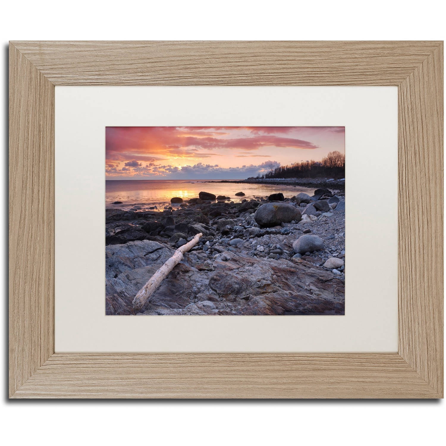 Trademark Fine Art "Pointer To The Sun" Canvas Art by Michael Blanchette Photography White Matte, Birch Frame