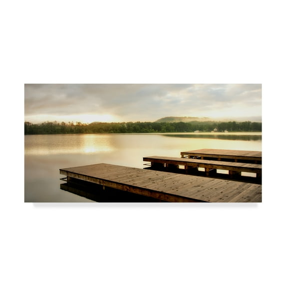 Trademark Fine Art 'Pointing Toward the Sun' Canvas Art by Danny Head