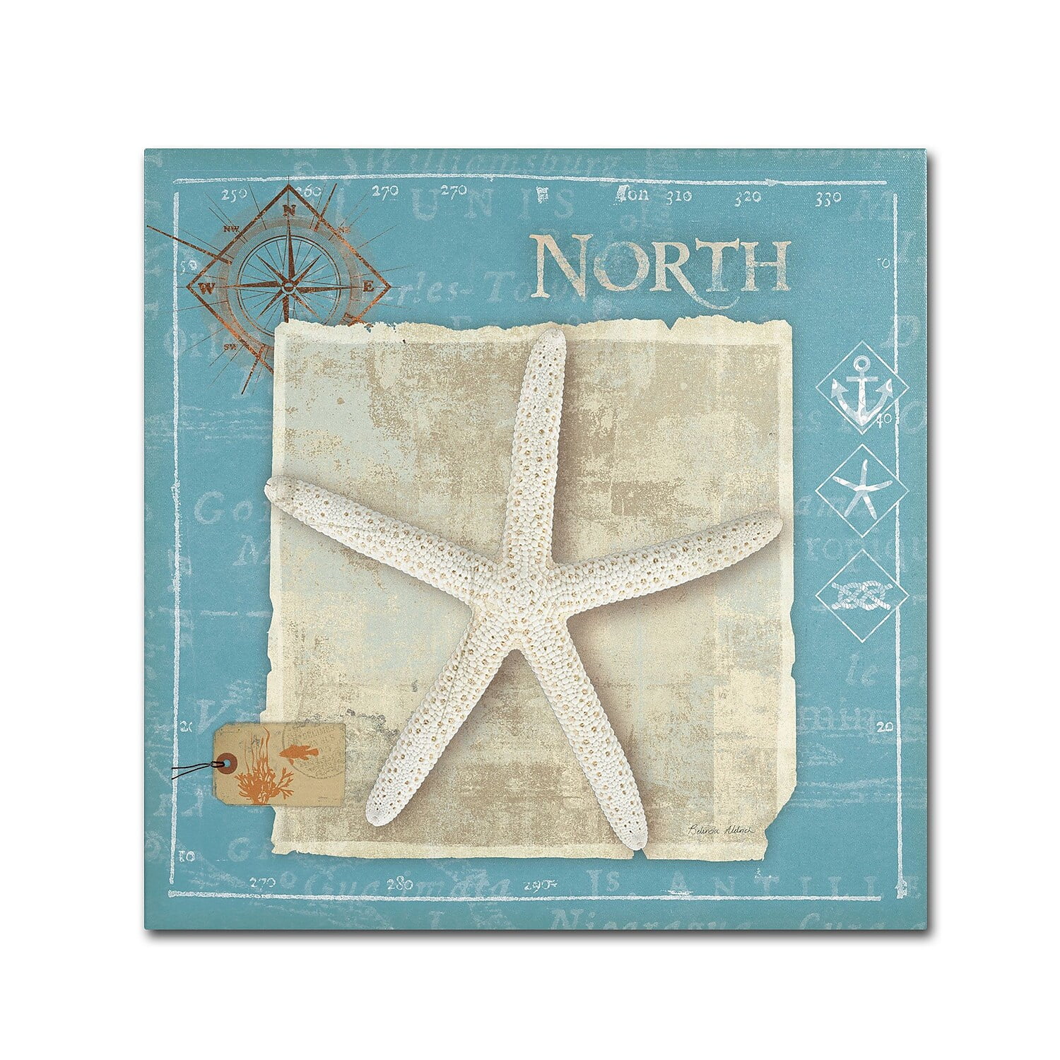 Trademark Fine Art "Points North" Canvas Art by Belinda Aldrich