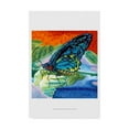 thumbnail image 1 of Trademark Fine Art 'Poised Butterfly II' Canvas Art by Carolee Vitaletti, 1 of 4