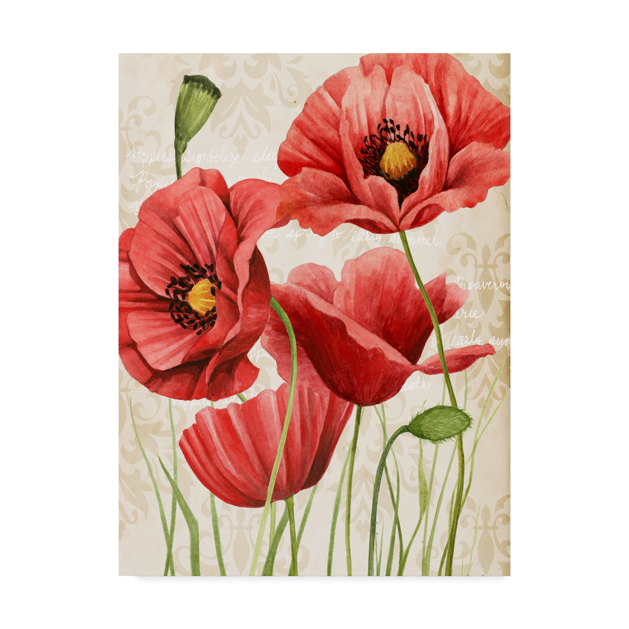 Trademark Fine Art 'Poised Poppy I' Canvas Art by Grace Popp
