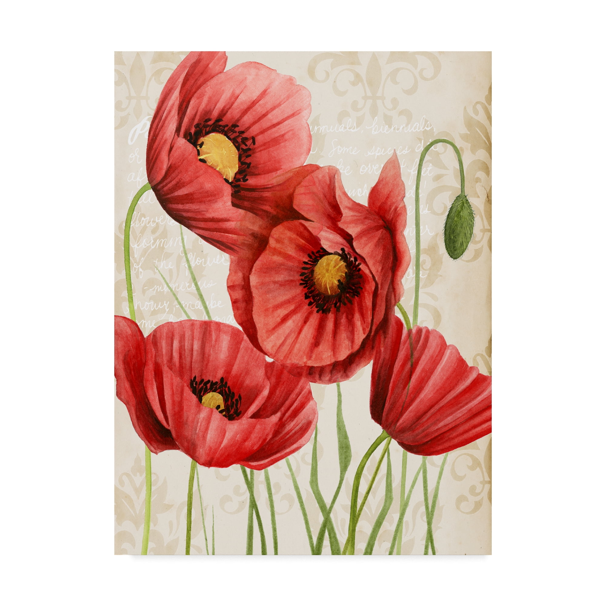 Grace Popp Red Floral Canvas Art 18x24