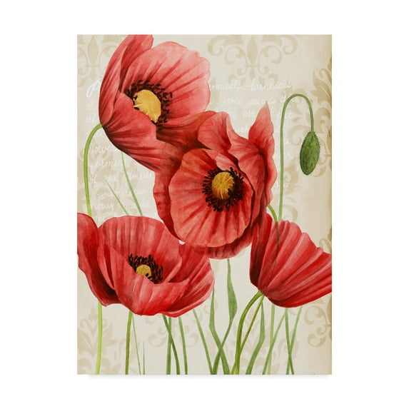 Trademark Fine Art 'Poised Poppy II' Canvas Art by Grace Popp