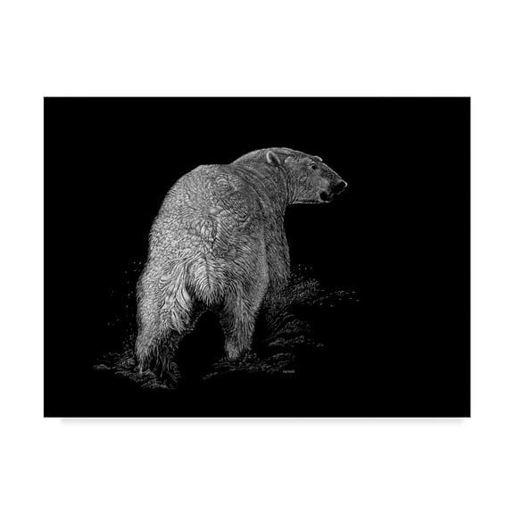 Trademark Fine Art 'Polar Bear Portrait' Canvas Art by Geraldine Aikman