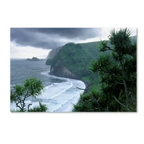 Trademark Fine Art 'Pololu Valley' Canvas Art by Mike Jones Photo